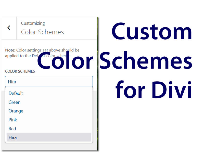Setting Up A Custom Color Scheme For Divi